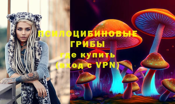 спиды Кинешма